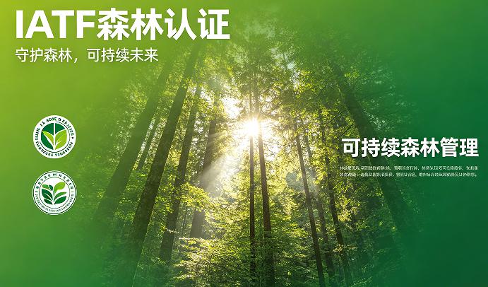 1786954453814830.jpg 森林认证图.jpg