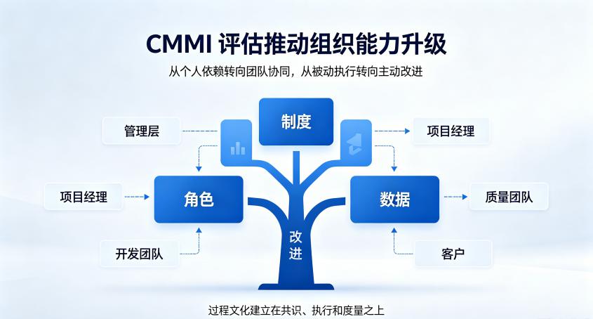 CMMI图 (3).jpg